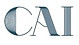 CAI Store logo